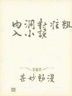 肉洞对准粗大坐入小说