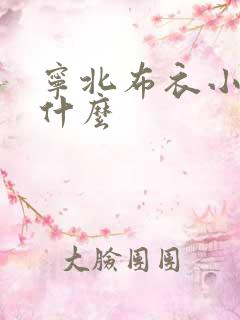 宁北布衣小说叫什么