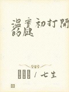 温实初打开眉庄的腿