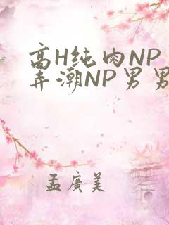 高H纯肉NP 弄潮NP男男