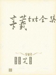 寸芒txt全集下载