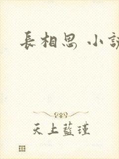 长相思 小说