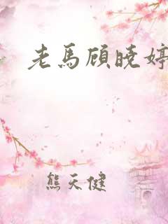 老马顾晓婷小说