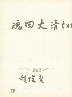 魂回大清txt