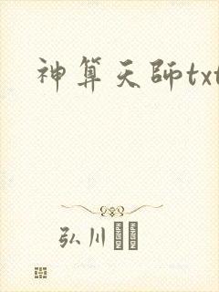神算天师txt