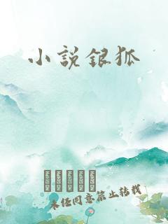 小说银狐
