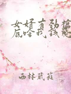 女婿有劲枪枪到底啥我钱飞了