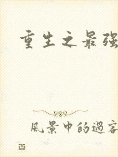 重生之最强英雄