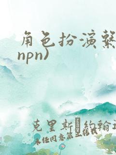 角色扮演系统(npn)
