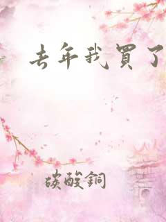 去年我买了个表