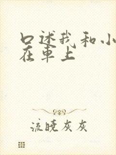 口述我和小娻孑在车上