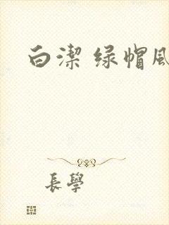 白洁 绿帽风云
