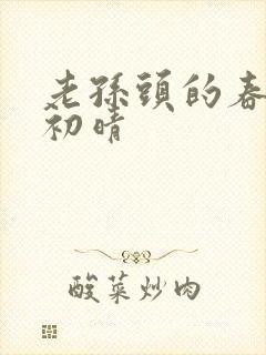 老孙头的春天林初晴