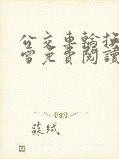 公交车轮换C程雪免费阅读