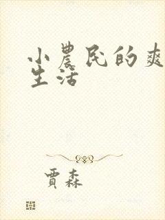 小农民的爽歪歪生活