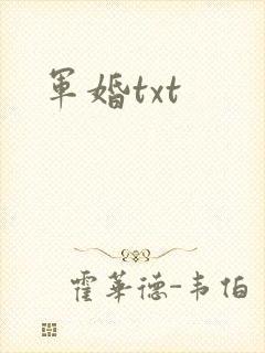 军婚txt