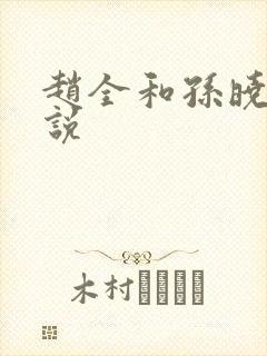 赵全和孙晓云小说