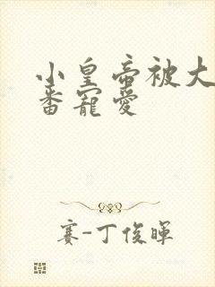 小皇帝被大臣轮番宠爱