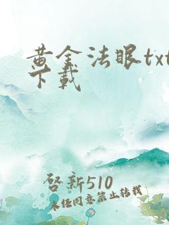 黄金法眼txt下载