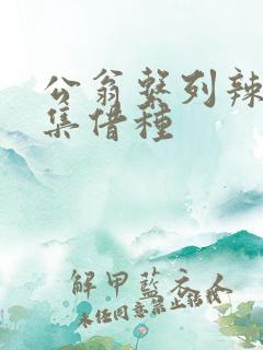 公翁系列辣文全集借种