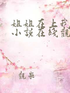 姐姐在上我在下小说在线观看