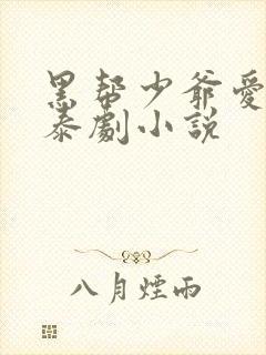 黑帮少爷爱上我泰剧小说