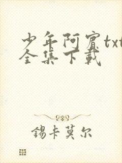 少年阿宾txt全集下载