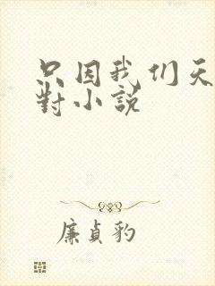 只因我们天生一对小说