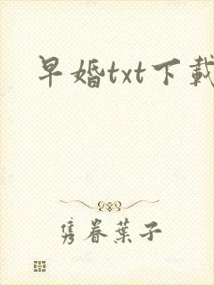 早婚txt下载