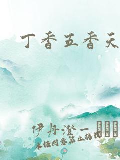 丁香五香天麻豆