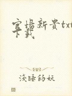 官场新贵txt下载