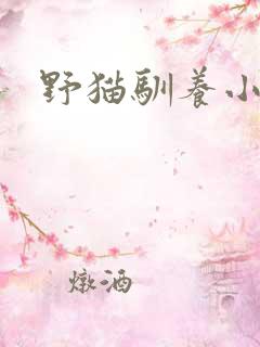 野猫驯养小说