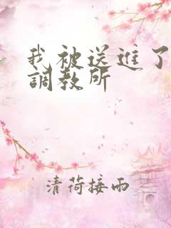 我被送进了私奴调教所