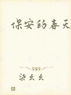 保安的春天