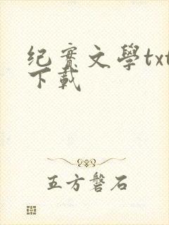 纪实文学txt下载