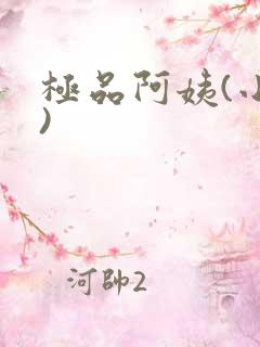 极品阿姨(小说)