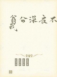 翁公深夜不停要我