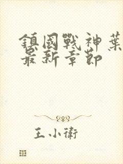 镇国战神叶君临最新章节