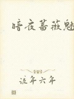 暗夜蔷薇魅之伤