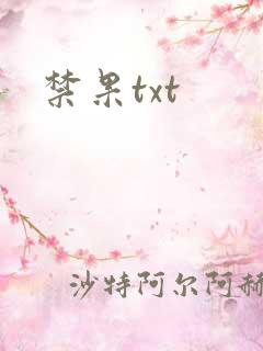 禁果txt