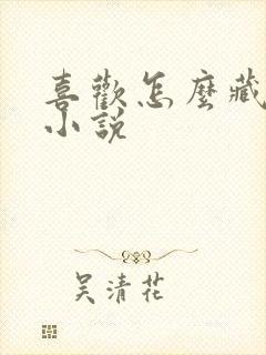 喜欢怎么藏不住小说