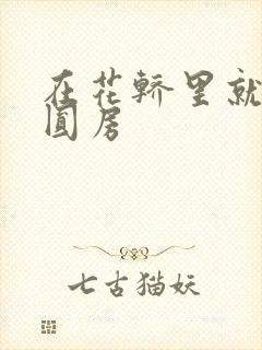 在花轿里就开始圆房