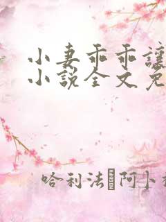 小妻乖乖让我宠小说全文免费阅读