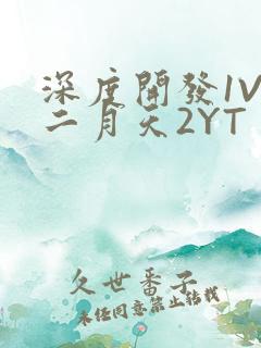 深度开发1V3二月天2YT