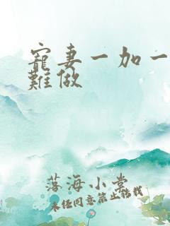宠妻一加一老婆难做