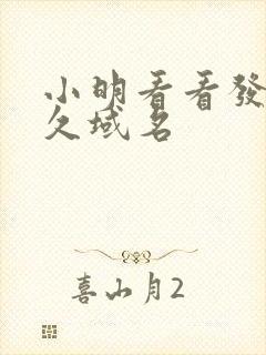 小明看看发布永久域名