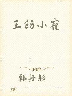 王的小宠