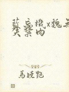 蓝忘机x魏无羡失禁肉