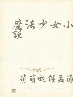 魔法少女小圆小说