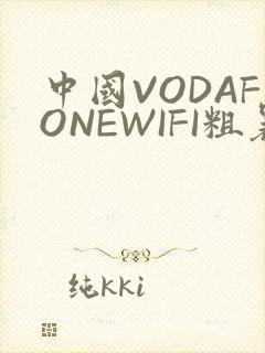中国VODAFONEWIFI粗暴APP